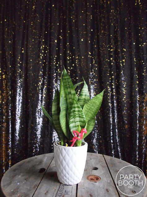 Toronto Photos, Large Sequins, Night Photo, Photo Booth Backdrop, Night Photos, Black Tie Wedding, Under The Stars, Corporate Events, Cactus Plants