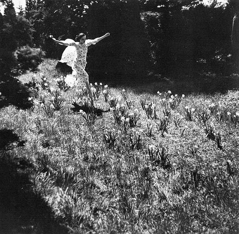 "Crazy with the Heat .", photo by Toni Frissell, Vogue, July 1937 Toni Frissell, Famous Americans, American Soldiers, White Photo, Flower Field, Vintage Photography, White Photography, Bald Eagle, The Heat