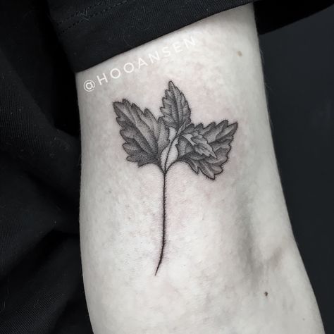 Botanical nettle tattoo made by hooansen. For more works subscribe instagram. Nettle Tattoo, Interesting Posters, Nice Images, More Words, S Tattoo, Leaf Tattoos, Maple Leaf Tattoo, Tattoos, Instagram