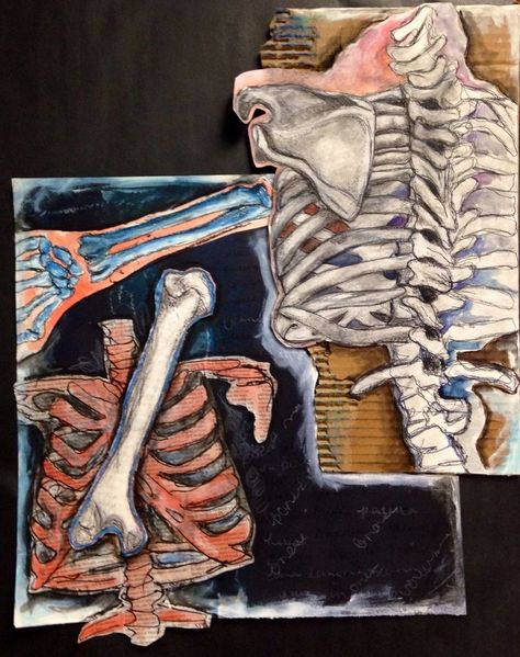 Anatomy Title Page Art, Different Art Medias, Mixed Media Anatomy Art, Gcse Art Anatomy, Anatomy Journal, Gcse Sketchbook, Alevel Art, Art Alevel, Gcse Art Sketchbook