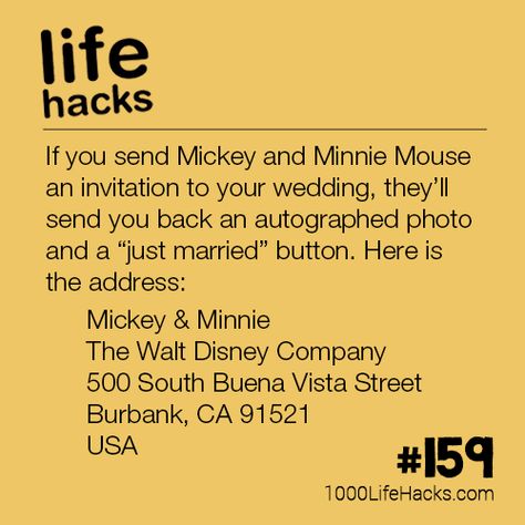 1000 Lifehacks, Hacks Lifehacks, Car Life, 1000 Life Hacks, Holiday Costumes, Mickey And Minnie Mouse, Smart Cookie, Japanese Gardens, Future Wedding Plans