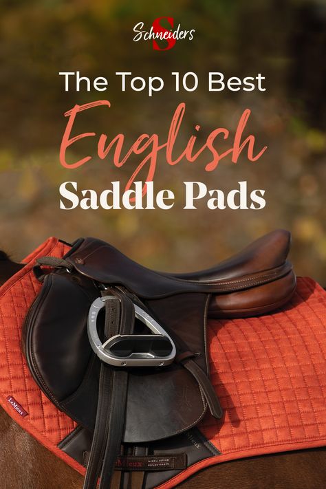 The Top 10 Best English Saddle Pads - Schneiders Best Selling English Saddle Pads, Saddle Pads English, English Saddle, Saddle Pad, Saddle Pads, The English, You Choose, Different Types, Saddle