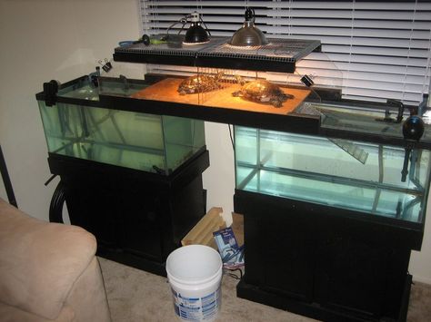 above-tank basking area which also doubles as a land bridge between the two tanks Turtle Basking Area, Turtle Setup, Tartaruga Habitat, Aquatic Turtle Habitat, Aquatic Turtle Tank, Turtle Tank Setup, Turtle Enclosure, Turtle Terrarium, Turtle Aquarium