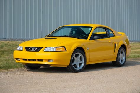 1999 Ford Mustang GT crossing the auction block at Indy Fall Special 2023 as F28. 1988 Mustang Gt, 1982 Mustang Gt, 1982 Ford Mustang Gt, 1970 Ford Mustang Mach 1, Mustang Sally, Modern Muscle Cars, Mercury Capri, 1989 Ford Mustang Gt 5.0, Indianapolis Indiana