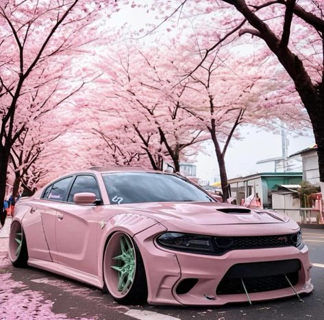 Pink Camaro, Car For Women, Pink Lamborghini, Dodge Car, Luxury Cars Bmw, Dodge Hellcat, Cars Drive, Luxury Cars Range Rover, Luxury Cars Audi