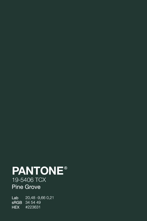 Embrace the winter season in style with this beautiful PANTONE Pine Grove Green 19-5406 color. Make a statement with this timeless hue – shop now and bring the winter vibes into your home! #Pantone #WinterDecor #green Phalo Green, Pine Green Aesthetic, Green Pantone Palette, Dark Green Pantone, Pine Grove Green, Forest Green Pantone, Emerald Green Pantone, Pantone Dark Green Shades, Phtalo Green