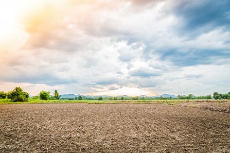 Landscape of cultivated ground | Free Photo #Freepik #freephoto #cloud #nature #sky #landscape Residential Land, Agricultural Land, Beautiful Vacations, How To Buy Land, Photo Editing Software, Land For Sale, Free Photo, Free Photos, Agriculture