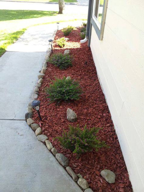 DIY landscaping with red mulch, Mexican Heather shrub, and rocks found in my yard Red Rock Garden Landscaping, Red Stone Landscaping Ideas, Red Mulch Landscaping Front Yards, Red Mulch Landscaping Ideas, Red Lava Rock Landscaping Front Yard, Mulch Xeriscape, Red Mulch, Front Yards Diy, Mulch Landscaping