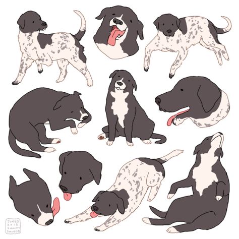 Cute Dog Art Drawing, Dog Looking Up Drawing, Dogs Illustration Art, Anime Dog Drawing, Dog Reference Drawing, Funny Dog Drawing, Sammy Savos, Dog Drawing Reference, Dog Draw