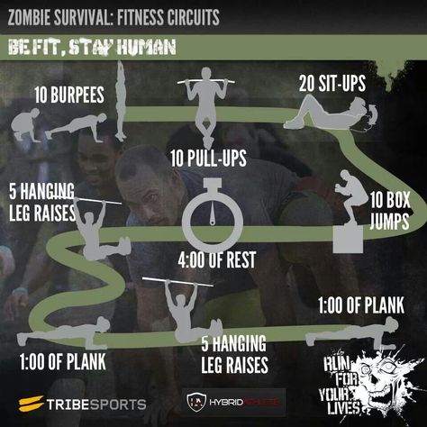 . Zombie Survival Guide, Gym Plan, Hardcore Workout, Crossfit Wods, Love Handle Workout, Killer Workouts, Muscles In Your Body, Gym Tips, Apocalypse Survival