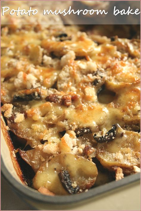 This is a classic favourite at all South African braais: a potato bake with cream, cheese, mushrooms and the all-important packet of brown onion soup! Mushroom Bake, Potato Mushroom, South African Dishes, African Cooking, Potato Bake, South African Recipes, Butter Cheese, Potato Dishes, Onion Soup