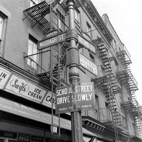 Ed Clark, Brooklyn Image, New York Fits, Liz Taylor, Bed Stuy, Manhattan Bridge, Brooklyn Heights, Natalie Wood, New York Life