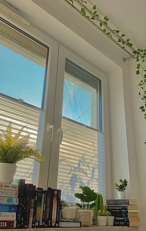 Pretty Window Aesthetic, Window Plants Aesthetic, Cute Window Sill Decor, Window With Plants Aesthetic, Windowsill Decor Bedroom Aesthetic, Window Sill Ideas Decoration Bedroom, Decorated Window Sill, Window Decor Aesthetic, How To Decorate Window Sill