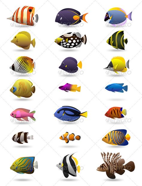 Bawah Air, Underwater Painting, Salt Water Fish, Vector Graphics Design, Marine Aquarium, Marine Fish, Fish Drawings, Underwater Life, Types Of Fish