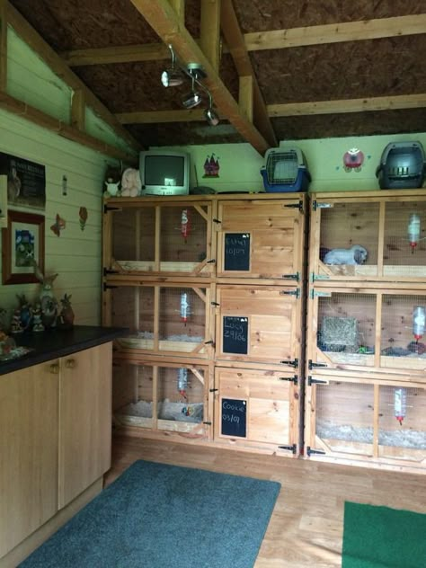 Rabbit Breeding Setup, Rabbit Sanctuary, Bunny Sheds, Rabbit Playground, Rabbit Hutch Plans, Rabbit Shed, Animal Rescue Ideas, Diy Rabbit Cage, Rabbit Pen