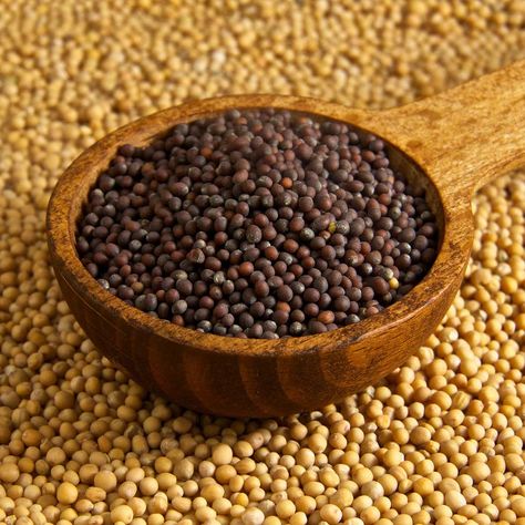 Country Mustard | Make this tasty, tangy mustard to spice up your dishes. Mustard Seed Oil, Couch Workout, Beer Mustard, Saving Seeds, Mustard Plant, Slow Aging, Asthma Symptoms, Mustard Oil, Seed Saving