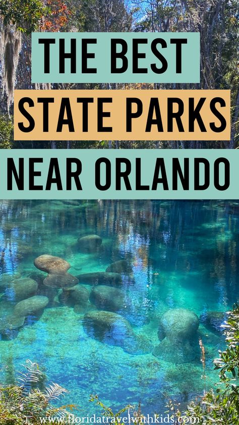 The best state parks near Orlando. If you're planning an Orlando vacation and want to take some time away from the city and them parks, check out these state parks close to Orlando. #floridatravelwithkids - Florida Travel With Kids Stuff To Do In Orlando Florida, Things To Do Near Orlando Florida, Orlando Florida Things To Do, Beaches Near Orlando Florida, Orlando Florida Beaches, Things To Do In Orlando Besides Parks, Hiking In Orlando Florida, Orlando Springs, Trip To Orlando Florida