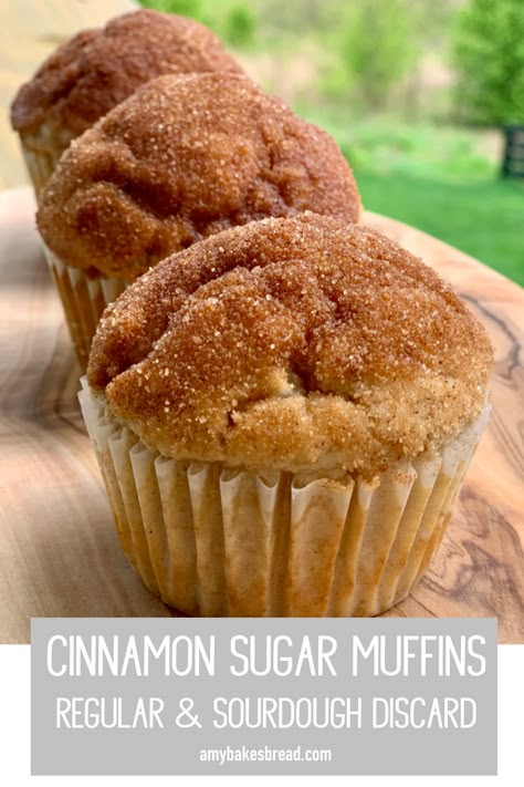 Amazing muffins that can be made with or without sourdough discard. The cinnamon sugar stays on after dipping the tops of the muffins in melted butter. So so good! Discard Crackers, Homemade Muffins Recipe, Cinnamon Sugar Recipes, Cinnamon Sugar Muffins, Sourdough Muffins, Recipe Using Sourdough Starter, Sourdough Starter Discard Recipe, Sourdough Starter Recipe, Cinnamon Muffins