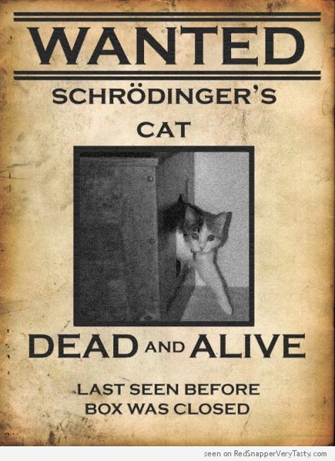 WANTED Schrödinger's cat - Dead and Alive #catoftheday Ingenieur Humor, Physics Jokes, Humour Geek, Nerdy Jokes, Physics Memes, Physics Humor, Nerdy Humor, Schrödinger's Cat, Nerd Jokes