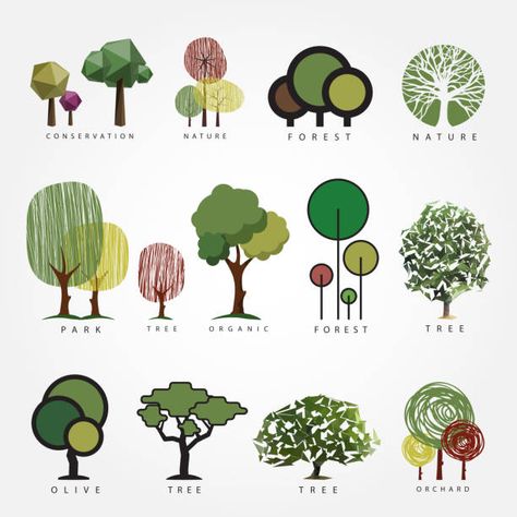 Arbre Vectoriels et illustrations libres de droits - iStock Landscape Architecture Diagram, Illustration Geometric, Tree Doodle, Geometric Trees, Tree Logo Design, Vector Trees, Tree Logos, Tree Graphic, Diagram Architecture