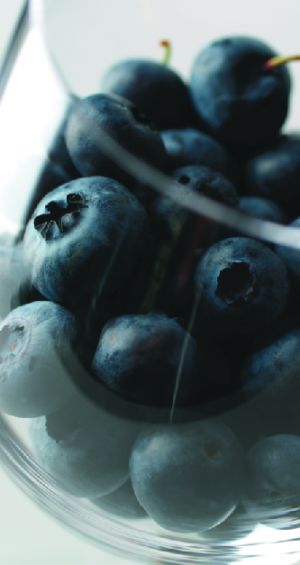 Making Blueberry Wine: Tips from the Pros - WineMakerMag.com Blueberry Wine Recipe, Homemade Beverages, Farm Goals, Homemade Liqueur, Wine Making Recipes, Blueberry Wine, Wine At Home, Edvard Grieg, Wine Tips