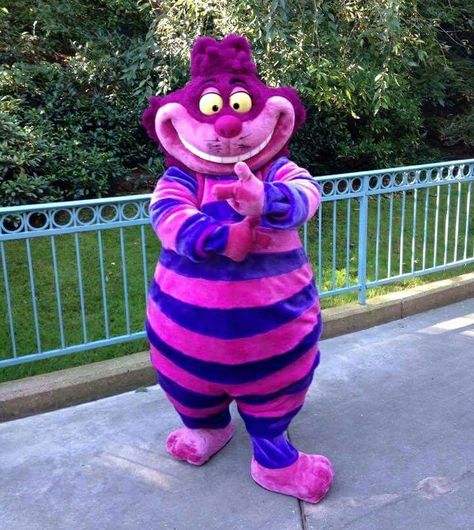 Chester Cat, Nightmare Before Christmas Clothing, Cat Mascot, Cosplay Disney, Disneyland Photos, Like A Cat, Doki Doki, Adventures In Wonderland, Disney Theme Parks