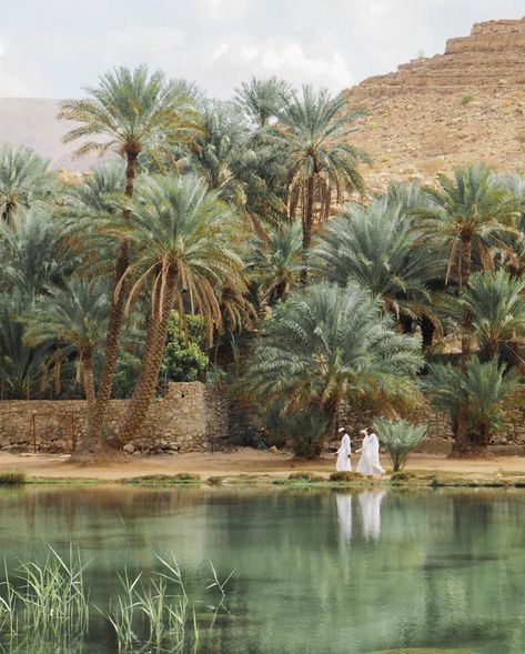 PRIOR on Instagram: “Walking through a serene date palm oasis in Oman—an antidote to the flashy artifice of neighboring Dubai. Here, traditional Bedouin values…” Arabic Garden, Aesthetic Images, Types Of Houses, Culture Travel, Pretty Places, Oman, Landscape Architecture, Egypt, Cool Pictures