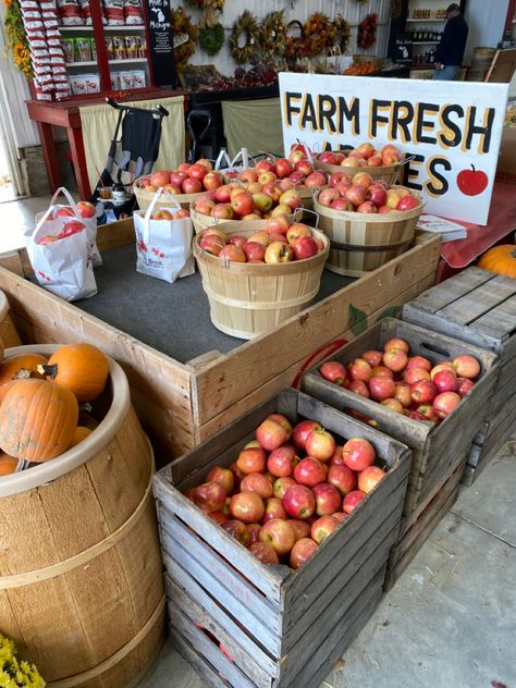 fall aesthetic, apple orchard, apple picking, autumn Apple Farm Aesthetic, Fall Farm Stand, Fall Farmers Market Aesthetic, Fall Apple Picking Aesthetic, Autumn Farmers Market, Orchard Aesthetic, Apple Orchard Fall, Fall Farmers Market, Harvest Dinner Party