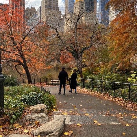 Leaves On The Ground, Fall Mood Board, Autumn In New York, Season Of The Witch, Fall Feels, Best Seasons, Jolie Photo, We Fall In Love, Autumn Cozy