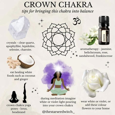 Chakra Information, Wicca Aesthetic, Chakra For Beginners, Chakra Guide, The Crown Chakra, Chakra Healing Meditation, Chakra Health, Root Chakra Healing, Chakra Alignment