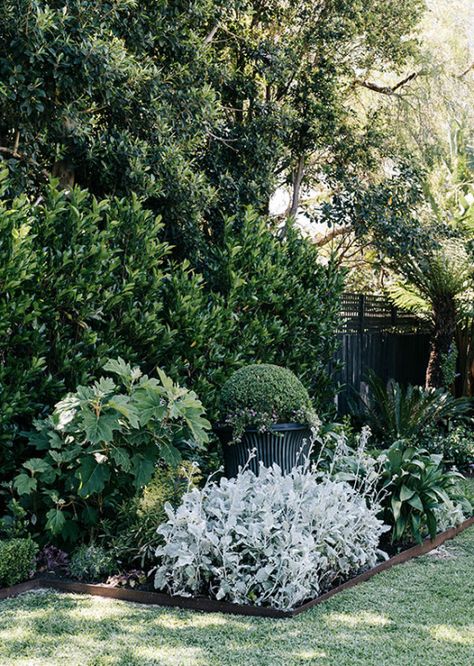 Federation Garden Australia, Australian Shade Garden, Australian Garden Design Front Yards, Queensland Garden Ideas, Modern Australian Garden, Layered Garden, Hamptons Garden, Colourful Landscape, Australian Garden Design