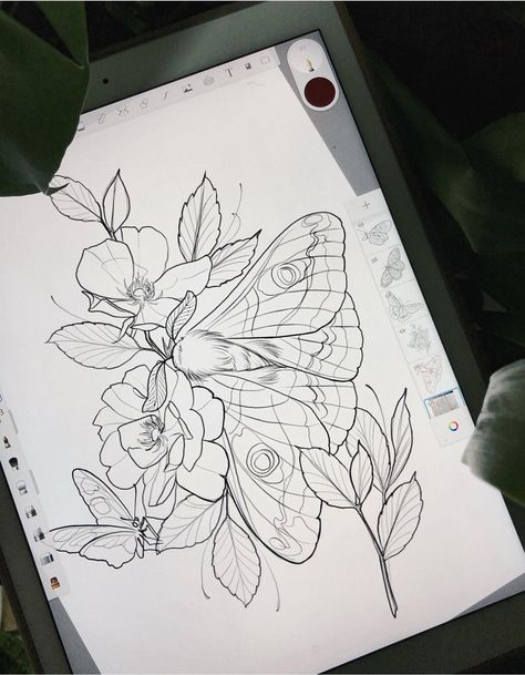 Moth Flower Tattoo Design, Neotraditional Butterfly Tattoo Design, Neotraditional Tattoo Butterfly, Moth And Flower Tattoo, Moth Tattoo Design, Optical Illusion Tattoo, Tattoo Apprenticeship, Insect Tattoo, Tattoo Outline Drawing