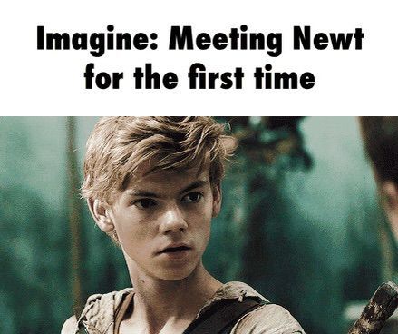 Newt Maze Runner Imagines, Thomas Sangster Imagines, Maze Runner Characters, Newt Imagines, Jurassic Park 1993, Maze Runner Imagines, Thomas Doherty, Newt Maze Runner, Maze Runner Movie