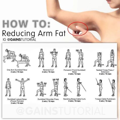 Imgur: The magic of the Internet One Arm Dumbbell Row, Arm Fat Exercises, Reduce Arm Fat, Reverse Curls, Posture Corrector For Women, Dumbbell Shoulder Press, Arm Workout Women, Reps And Sets, Lose Arm Fat