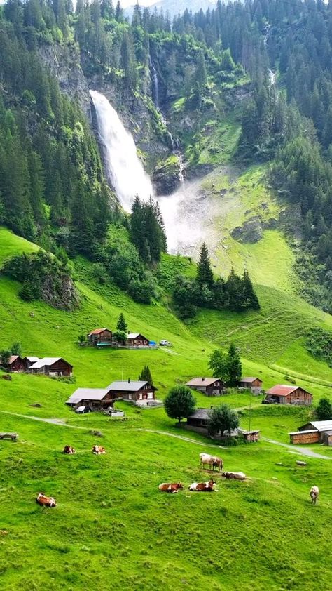 📍Stäubifall, Switzerland🇨🇭 . . . . . #switzerland🇨🇭#stäubifall #swissplanet #swiss #myswitzerland #inlovewithswitzerland #earthfocus #wanderlust #travelphotography #travel #beautifuldestinations #wonderful_places #switzerlandpictures #loves_landscape #zwitserland #isviçre #suisse #switzerland #switzerland_vacations #nature #tlpicks #svizzera #swissalps #swisstravel #europe #beautyofswitzerland #switzerlandtourism #visitswitzerland Untouched Nature, Travel Picture Ideas, Beautiful Landscape Photography, Landscape Photography Nature, Natural Pool, Beautiful Locations Nature, Beautiful Places Nature, Nature Gif, Green Nature