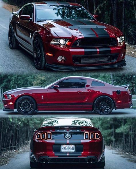 Gorgeous Mustang! Daily Luxury, Mobil Mustang, Ford Mustang Car, Ford Mustang Shelby Gt500, Roy Mustang, Ford Classic Cars, Ford Mustang Shelby, Stance Nation, Mustang Cars