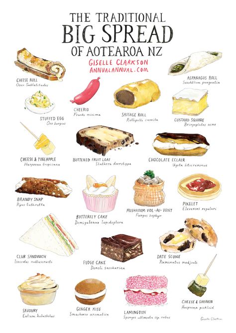 Giselle Clarkson Illustration | The Traditional Big Spread of Aotearoa NZ Asparagus Rolls, Date Scones, 90s Food, Brandy Snaps, New Zealand Food, Chocolate Eclair, Spatial Design, Cheese Rolling, Fudge Cake