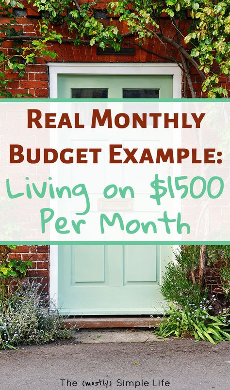 How We Live On Less Than $1500 A Month: Our Actual Budget. Love seeing a real life example of living on a tight budget! There are some good tips in here and a free budget worksheet. Nice to see it broken down for beginners :) #budget #printable #monthlybudget #daveramsey #frugalliving #frugal #livingonless Beginners Budget, Budget Inspiration, Retirement Budget, Fall Gardens, Sample Budget, Creating Habits, Budget List, Budget Worksheet, Live On Less