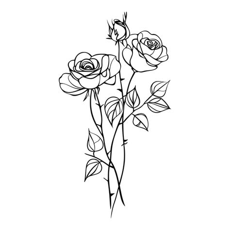 Blossom roses on stem with leaves, line drawing. Flowers in engraving style. Hand drawn realistic open rosebuds Rosebud Drawing, Rose With Stem Drawing, Leaves Line Drawing, Line Drawing Flowers, Drawing Flowers, Simple Rose, Rose Drawing, Leaf Drawing, Heart Tree