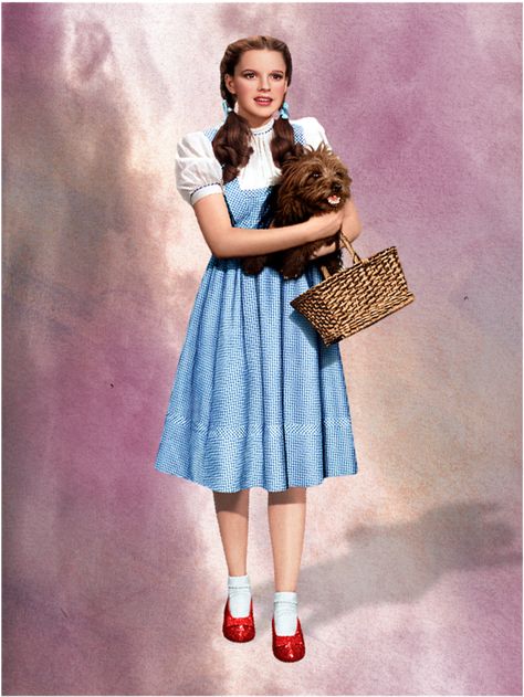 Wizard Of Oz Dorothy Costume, Dorothy Halloween Costume, Style In Winter, Blue Dress Costume, Halloween Fashion Outfits, Girls Halloween Dress, Dorothy Costume, Halloween Costumes To Make, Popular Costumes