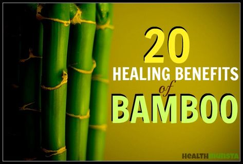 Bamboo is used for many healing practices in the Eastern world. Black Bamboo is famous for its amazing medicinal effects. It reduces fevers and quells lung inflammation. Miracle Tree, Bamboo Tea, Lucky Bamboo, Holistic Healing, Natural Treatments, Spiritual Healing, Alternative Medicine, Stay Fit, Natural Health