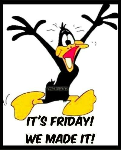 Daffy Duck Friday Quote friday happy friday daffy duck good morning friday quotes its friday daffy duck friday quotes Daffy Duck Quotes, Funny Clip Art, Duck Quotes, Dog Sleep, Funny Clip, Friday Meme, Friday Pictures, Elmer Fudd, Good Morning Friday