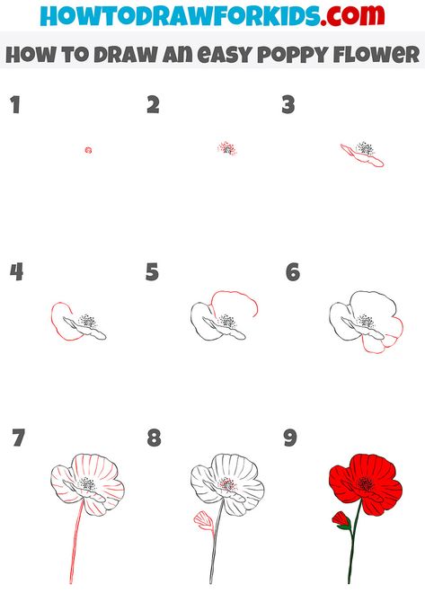 how to draw an easy poppy flower step by step Doodle Poppy Flower, Poppy Drawing Simple Step By Step, How To Draw A Poppy Flower Easy, How To Draw Poppies Step By Step, Poppy Flower Drawing Step By Step, How To Draw Poppy Flowers, How To Draw A Poppy, How To Draw A Poppy Flower, Poppy Flower Drawing Simple