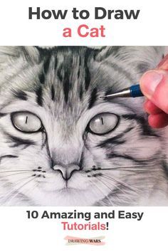 Drawing A Cat, Realistic Cat Drawing, Cat Face Drawing, Draw Cats, Draw A Cat, Cat Drawing Tutorial, Cats Art Drawing, Pencil Drawing Tutorials, Realistic Pencil Drawings