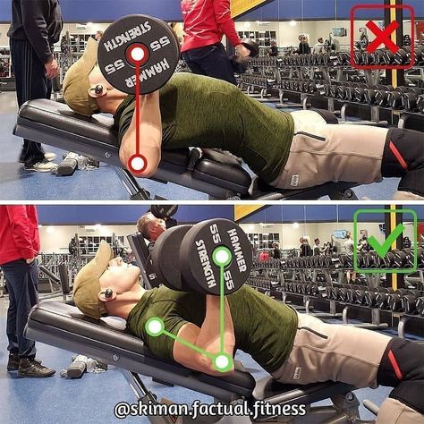 Dumbell Press, King Warrior, Best Chest Workout, Bum Workout, Dumbbell Press, Pectoral Muscles, Workout Memes, Street Workout, Fitness Gym Workout