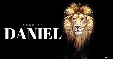 Book Of Daniel Images, Daniel Bible, The Book Of Daniel, Book Of Daniel, Women Lawyer, Mom Of 3, Bible Study Guide, Audio Bible, Bible Pictures