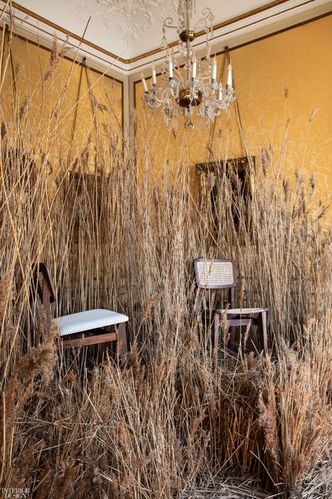 In sharp contrast to the stately ambience of the Institut Français, swamp grass surrounded newly reissued pieces by iconic French designers from Gubi. A chandelier hung over the C-Chair dining chair, nestled in pampas grass dried to a honey hue. Grass Interior Design, Grass Installation, French Designers, Ball Chair, Flower Installation, Curated Content, Design Event, Design Magazine, Shop Display