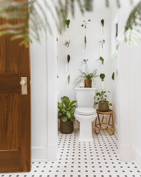 CB2 on Instagram: “PSA: the best time to propagate 🌱 is RN  tap for #mycb2 details  @_forthehome” Propagation Wall, Bathroom Plants Decor, Green Mattress, Living Vintage, Marble Vase, Bathroom Plants, Unique Vases, Wall Vase, Room With Plants