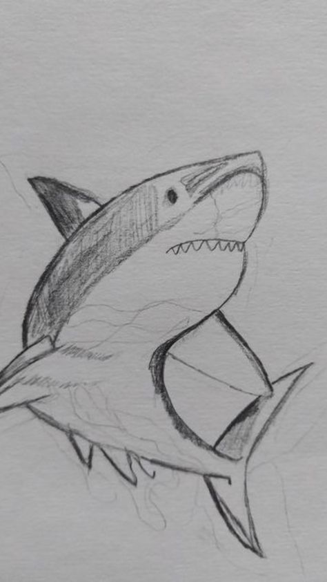 Sketches Sea Creatures, Cute Aquatic Animals Drawings, Aesthetic Shark Drawing, Cute Shark Sketch, Shark Sketch Easy, Marine Animals Sketch, Ocean Animals Sketch, Drawing Ideas Ocean Animals, Aquatic Life Drawing