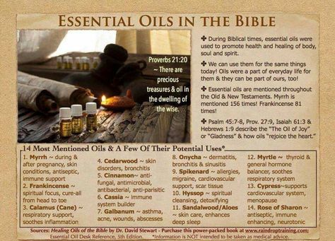 Essential Oils of the Bible        Dayna's Young Living member #1893605 Oils Of The Bible, Essential Oil Remedy, Oil Remedies, Essential Oils Herbs, Essential Oils Health, Yl Essential Oils, Living Essentials Oils, Healing Oils, Living Essentials